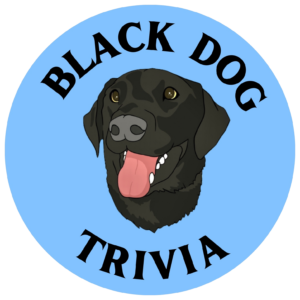 Black Dog Trivia