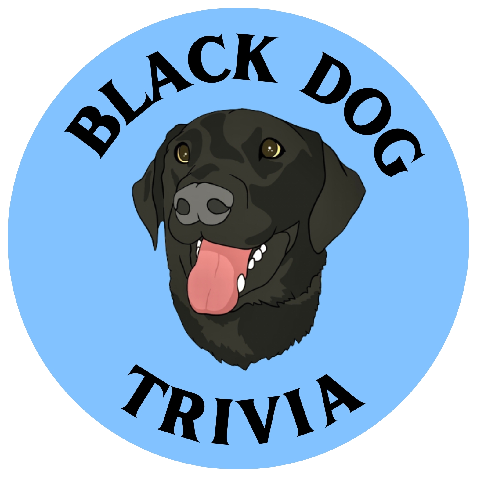 Black Dog Trivia
